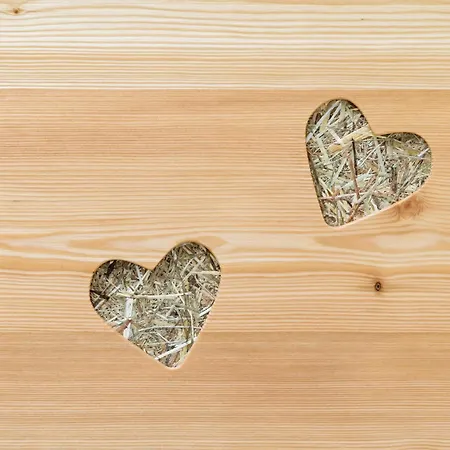 Alpenhotel Wanderniki Affittacamere 4*