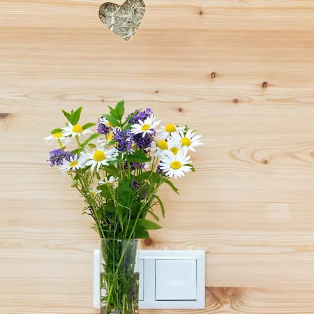 Alpenhotel Wanderniki 4*