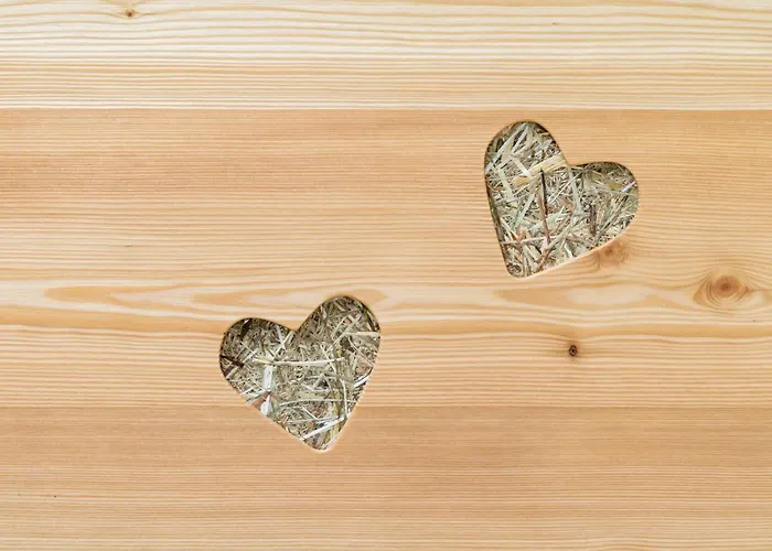 Alpenhotel Wanderniki Konukevi 4*