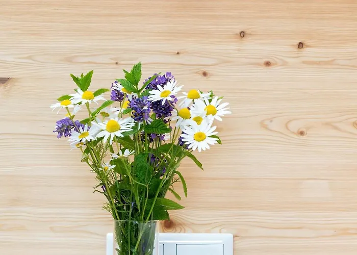 Alpenhotel Wanderniki 4*